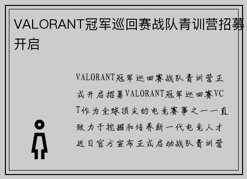 VALORANT冠军巡回赛战队青训营招募开启