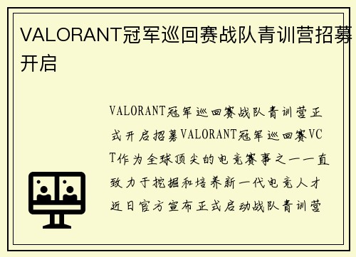 VALORANT冠军巡回赛战队青训营招募开启
